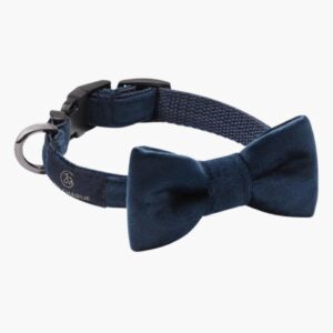 Bow-tie Glam, navy blue