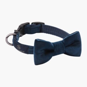 Bow-tie Glam, navy blue