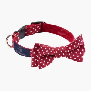 Street Bow-tie, red & white dots