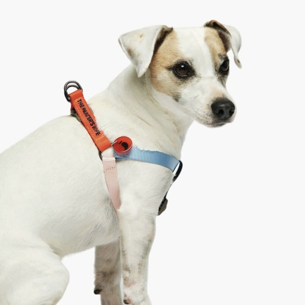 Sonia Hundegeschirr, rot und rosa