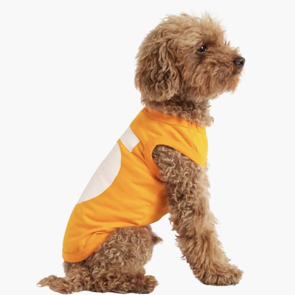 Imi Hunde-Bodysuit, orange