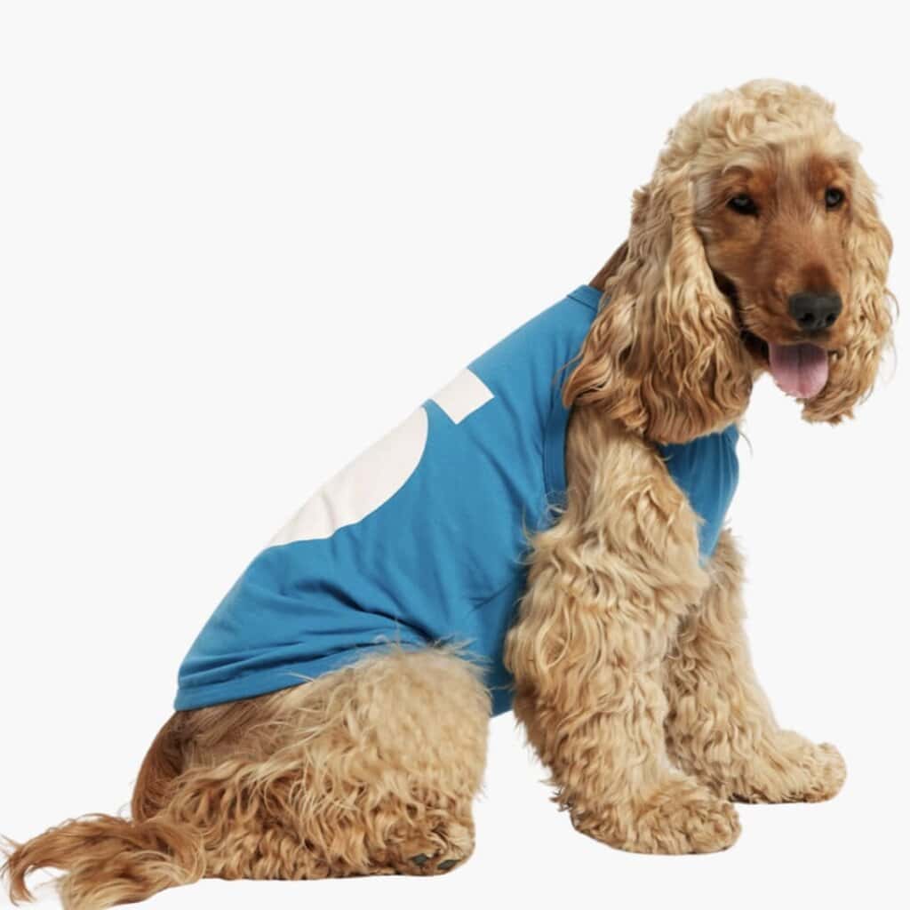 Imi Hunde-Bodysuit, dunkelblau