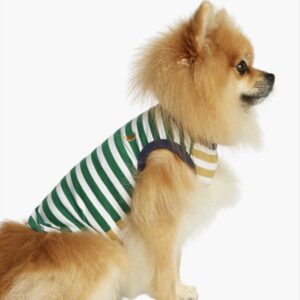 Daniel cotton dog bodysuit, green and dijon