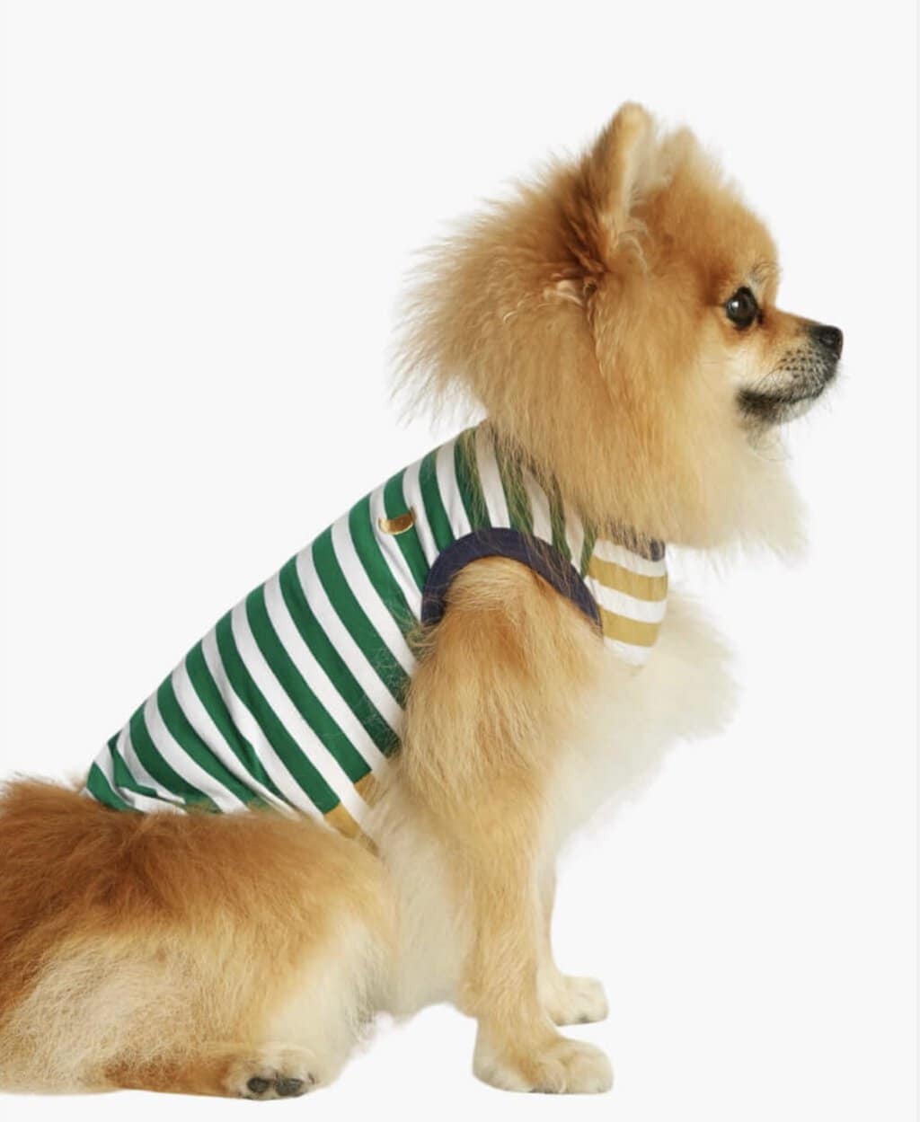 Daniel cotton dog bodysuit, green and dijon