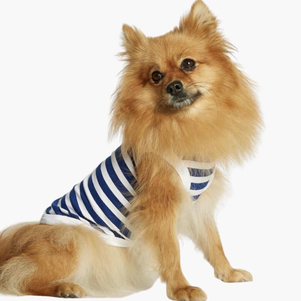 Daniel cotton dog bodysuit, deep blue