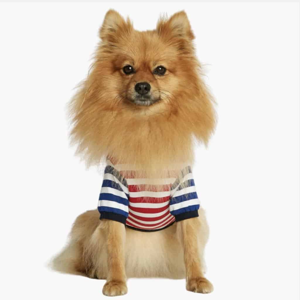 David Hunde-T-Shirt aus Bio-Baumwolle, rot und dunkelblau