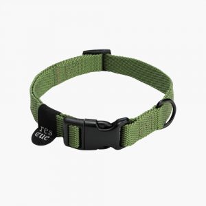 Nylon Dog Collar, Green