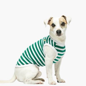 Daniel cotton dog bodysuit, green