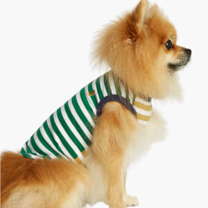 Daniel cotton dog bodysuit, green & dijon