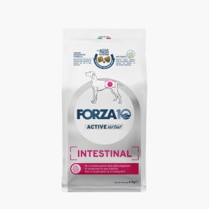 Croquettes Forza 10 Active Intestinal pour chiens adultes, 4 kg