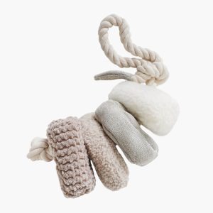 Blocs Enrichment Dog Toy, nude