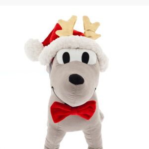 Christmas Outfit Set for dogs