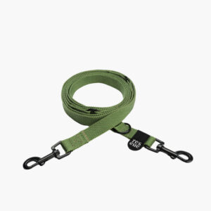 Nylon Dog Leash, dusty green