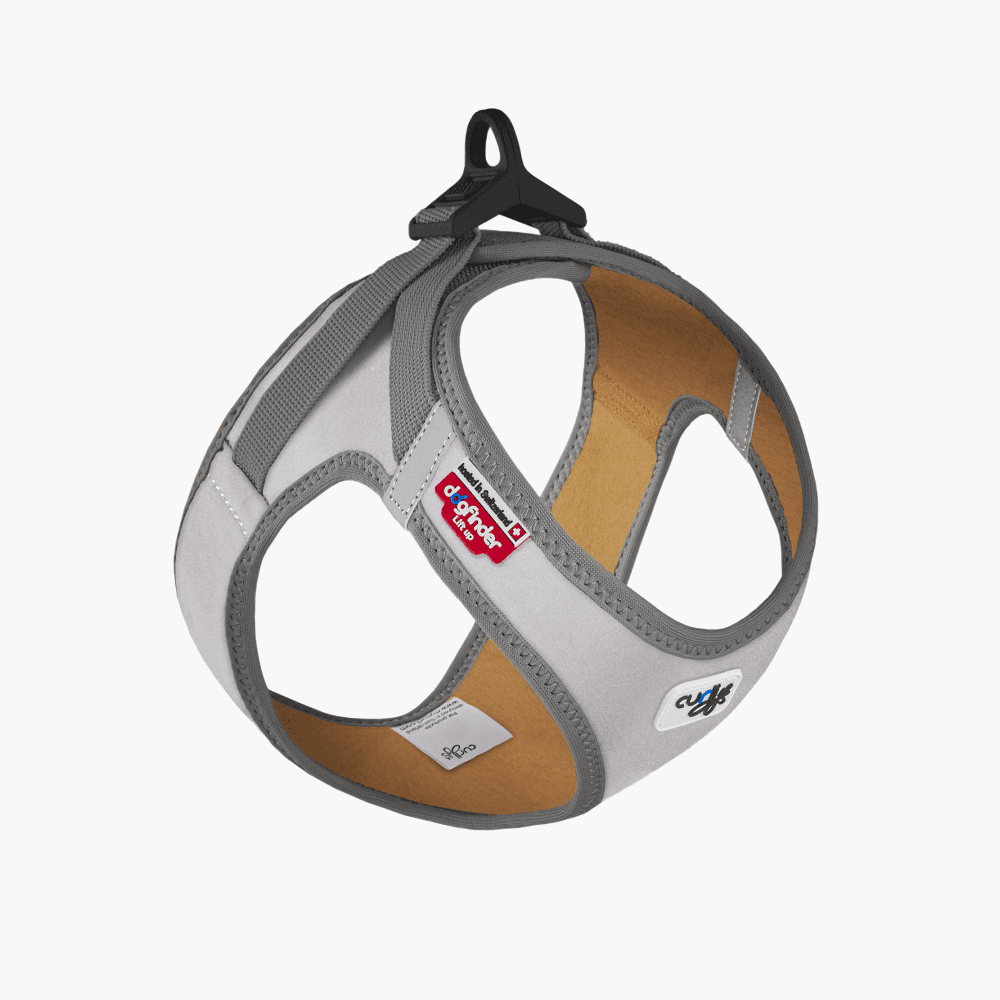Gilte harnais Curli Glow réfléchissant
