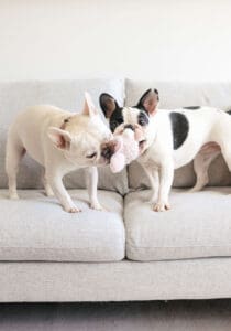 Second Product Image