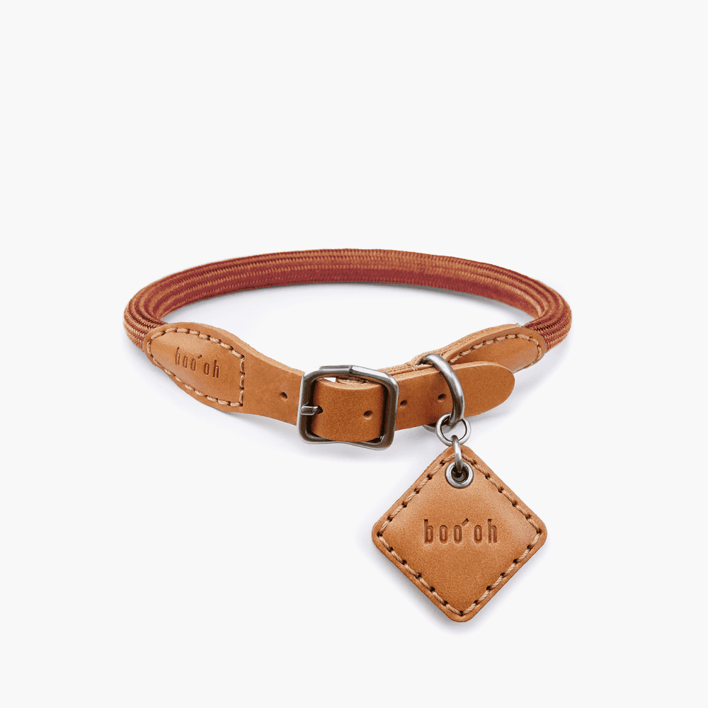 Collier pour chien Ray, camel