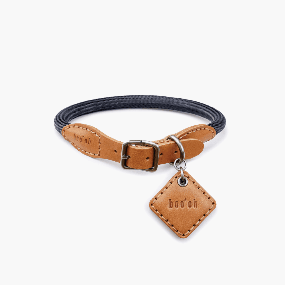 Collier pour chien Ray, graphite