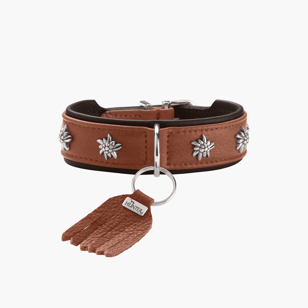 Hundehalsband München, cognac & schwarz