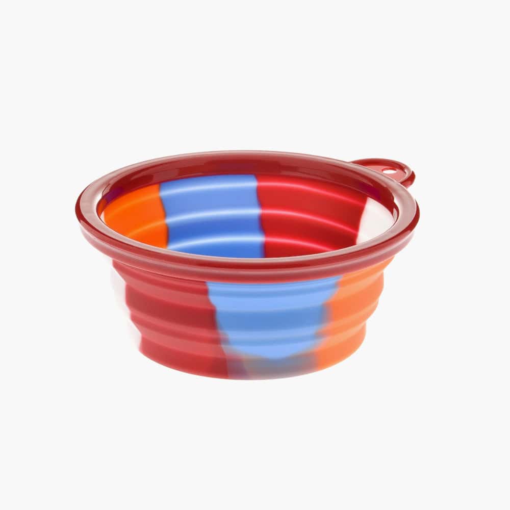 Rainbow Foldable Travel Bowl