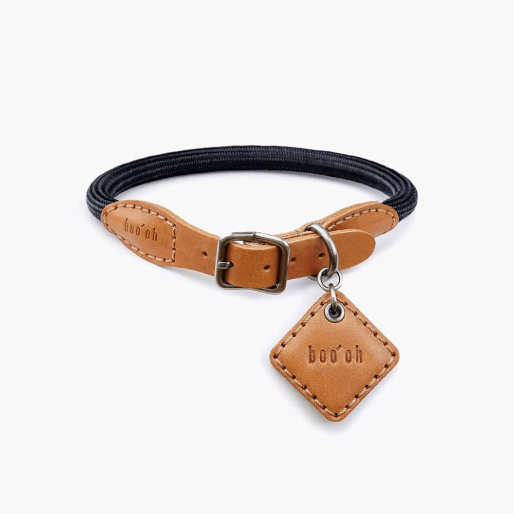 Collier pour chien Ray, noir