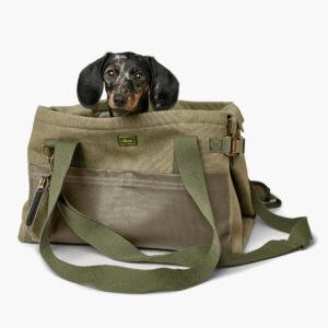 2 in 1 Madison Carry bag