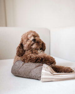 Second Product Image