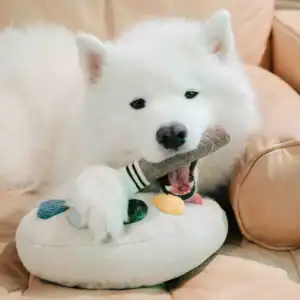 Second Product Image