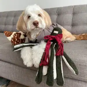 Second Product Image