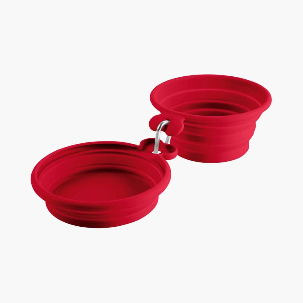Silicone travel bowl set