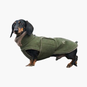 Dachshund Coat Brooklyn Flannel Fern Green