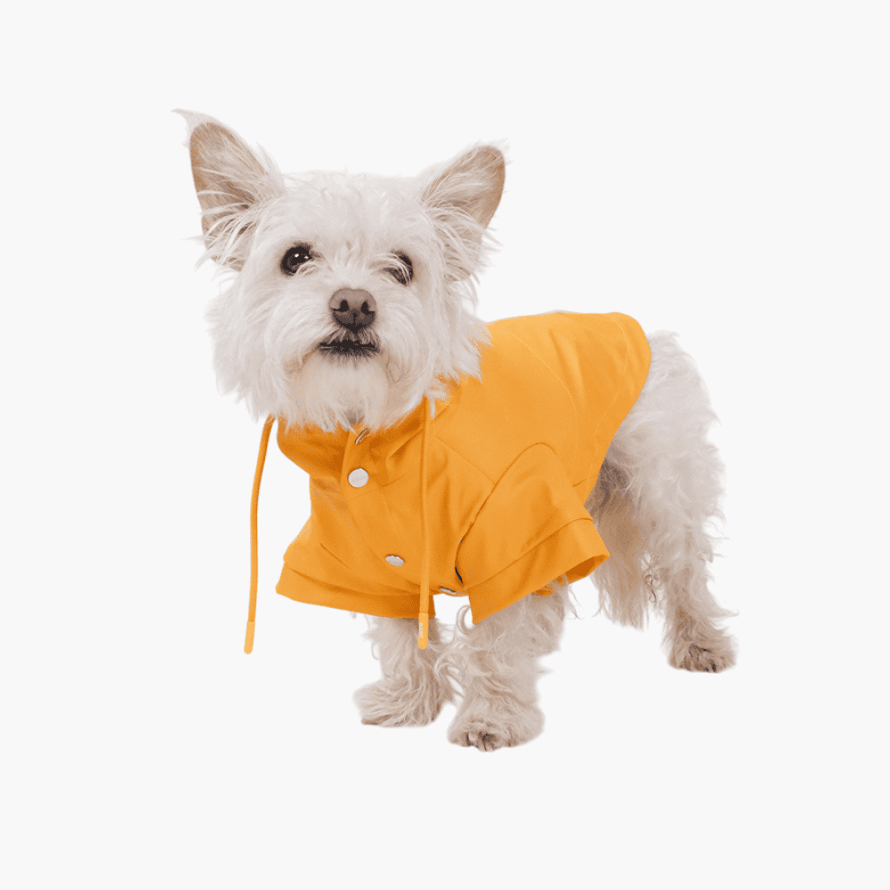 Waterproof Dog Raincoat