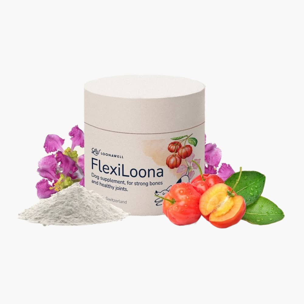 FlexiLoona – Daily Joint & Mobility Support for Dogs