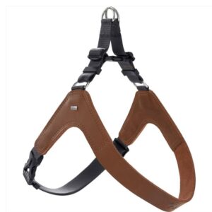 Dimaro Harness