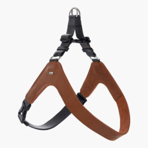 Dimaro Harness