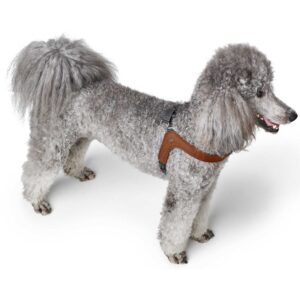 Second Product Image