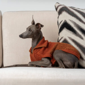 Second Product Image