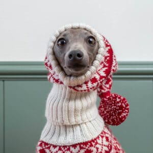 Second Product Image