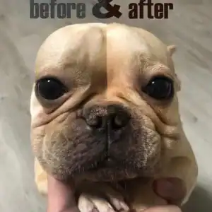 Second Product Image