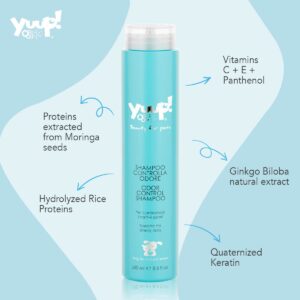 Second Product Image