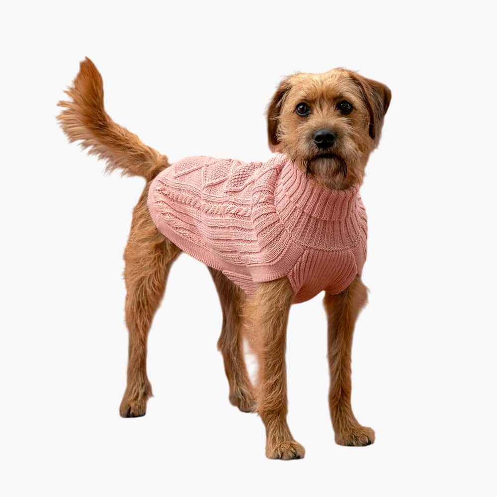 Blush Aran Alpaca Dog Sweater