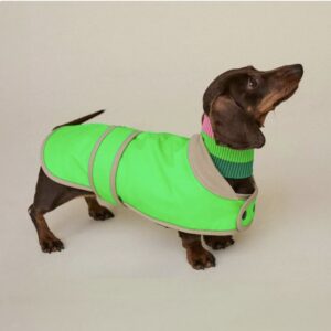 The Glow Raincoat Mini-Fit