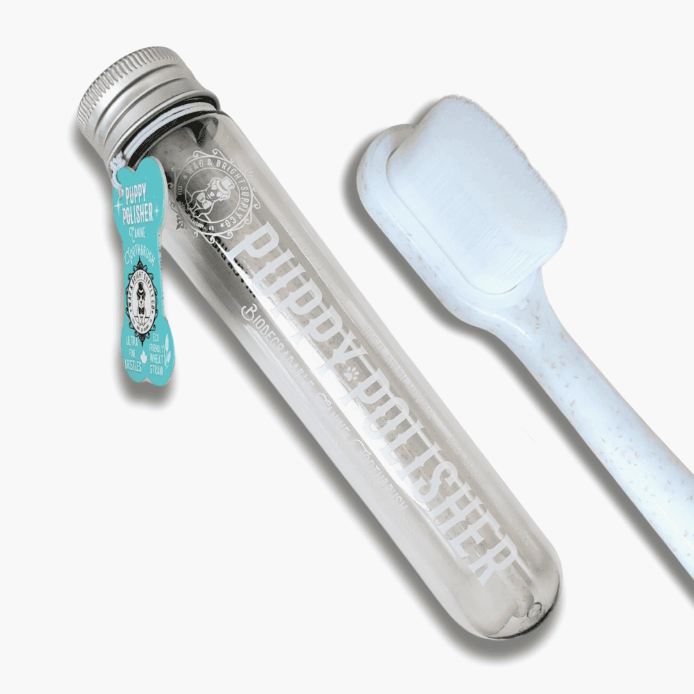 Puppy Polisher Toothbrush