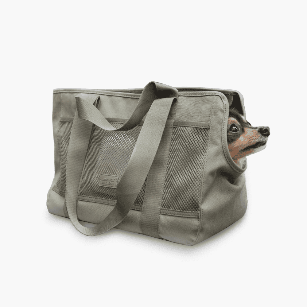 Subway Pet Carrier