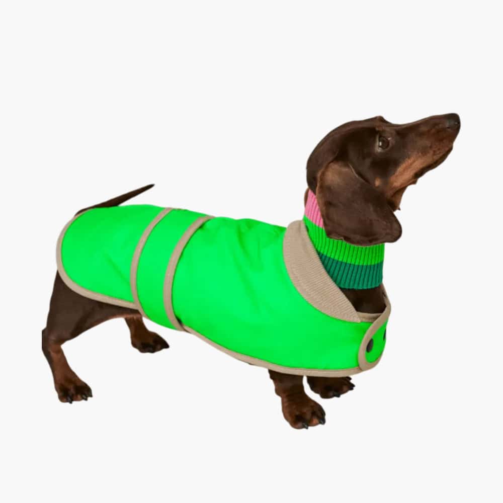 The Glow Raincoat Mini Fit
