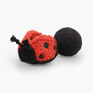 Ladybug Po