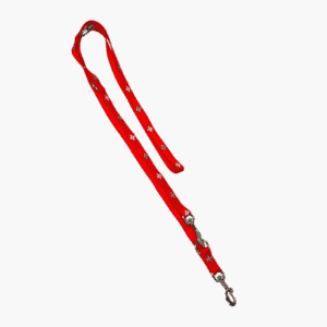 Swiss Reflective Dog Leash