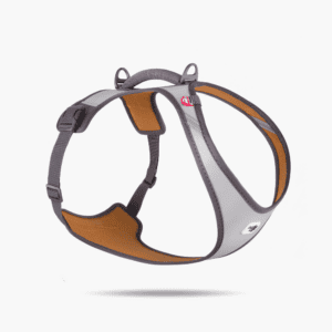 Curli Glow Vest Harness for large breeds