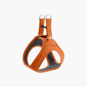 Harness Hilo