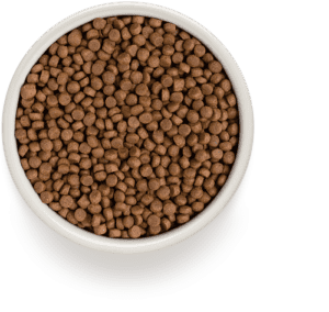 Second Product Image