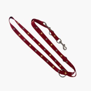 Swiss Reflective Dog Leash